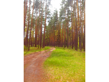 IMG 20170513 132425.jpg