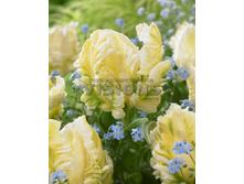 16,94���. ������� ������ ������(�������� ���� �� 10 ��., ����������� ����� 5��.)���17.jpg