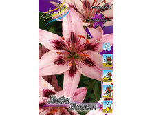 32,5���. ����� ���� �����(�������� ���� �� 3 ��., ����������� ����� 1��.).jpg