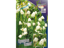 26,46���. ������� ������� �����(�������� ���� �� 5 ��., ����������� ����� 3��.).jpg