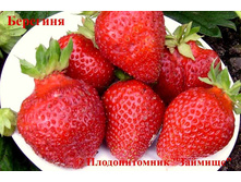 ��������� ��������.jpeg