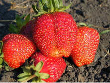 ��������� �������.jpg