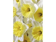 13,23���. ������� ��� ������(���������� ������ ������ ���������� �� 10 ��.)���17.jpg