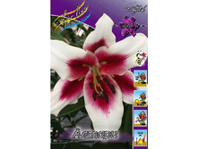 26,66���. ����� ������(�������� ���� �� 5 ��., ����������� ����� 3��.).jpg