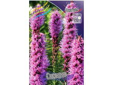 10,38���. ������� �������(���������� ������ ������ ���������� �� 10 ��.).jpg