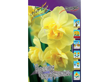 14,71���. ������� ������ ����������(���������� ������ ������ ���������� �� 10 ��.).jpg