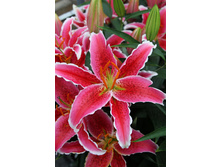 27,76���. ����� �����(�������� ���� �� 5 ��., ����������� ����� 3��.)���16.jpg