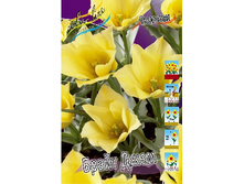 7,28���. ������� ����� ����(���������� ������ ������ ���������� �� 10 ��.).jpg