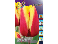 12,78���. ������� �� �������(���������� ������ ������ ���������� �� 10 ��.).jpg