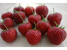 ��������� ����� �������.jpg