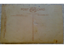 ����66 (1).jpg