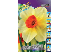 19,17���. ������� ���� �����(�������� ���� �� 10 ��., ����������� ����� 5��.).jpg