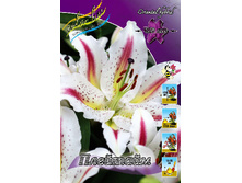 33,8���. ����� ��������(�������� ���� �� 5 ��., ����������� ����� 3��.).jpg