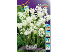 8,92���. ������������ �����(���������� ������ ������ ���������� �� 10 ��.)���16.jpg