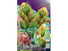 25,72���. ������� ��� �����(�������� ���� �� 5 ��., ����������� ����� 2��.).jpg