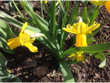 ������� ��������