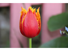 �������  ����� (�ϣ ����)