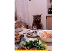 ���� - �����!