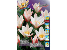 12,48���. ������� ����� ������(���������� ������ ������ ���������� �� 10 ��.).jpg