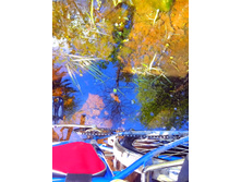 IMG 20170513 141020.jpg