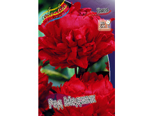 163,6���. ���� ��� ������(���������� ������ ������ ���������� �� 1 ��.).jpg