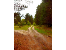 IMG 20170513 132542.jpg