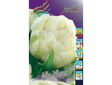 16,2���. ������� ��� ����(�������� ���� �� 10 ��., ����������� ����� 5��.).jpg