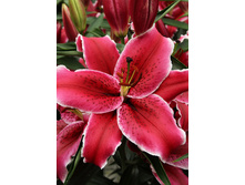 34,6���. ����� �����(�������� ���� �� 5 ��., ����������� ����� 3��.)���16.jpg