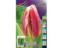 15,46���. ������� �����(�������� ���� �� 10 ��., ����������� ����� 5��.)���16.jpg