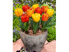 25,11���. ������� �������� �����(�������� ���� �� 10 ��., ����������� ����� 5��.)���17.jpg