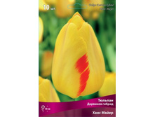 ������� ���� �����.jpg