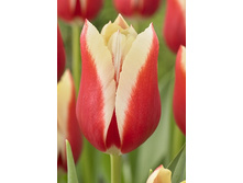 13,97���. ������� ������ ����(���������� ������ ������ ���������� �� 10 ��.)���17.jpg