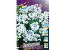 3,82���. �������� ���������(���������� ������ ������ ���������� �� 15 ��.).jpg