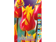 20,65���. ������� ���� ����(�������� ���� �� 10 ��., ����������� ����� 5��.).jpg