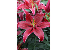 27,76���. ����� ���� ����(�������� ���� �� 5 ��., ����������� ����� 3��.)���16.jpg