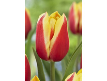 16,2���. ������� �������(�������� ���� �� 10 ��., ����������� ����� 5��.)���17.jpg