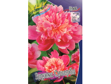 181,6���. ���� ������ �������(���������� ������ ������ ���������� �� 1 ��.).jpg