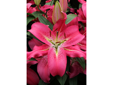 26,96���. ����� �������(�������� ���� �� 7 ��., ����������� ����� 3��.).jpg