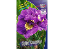 78,8���. ���� ��������� ���� ��������(�������� ���� �� 2 ��., ����������� ����� 1��.).jpg