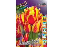 33,54���. ������� ������ ����(�������� ���� �� 7 ��., ����������� ����� 2��.)���16.jpg