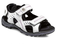 2539 1500 ��� ����� ���� 24�.jpg