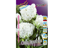 22,14���. ������� ���� �������(�������� ���� �� 10 ��., ����������� ����� 5��.).jpg