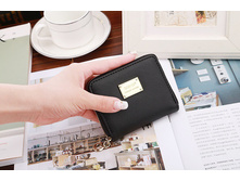 260 ���. - ������� ��������� "SJ-2" (������)