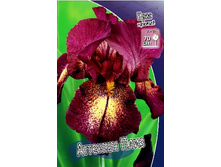 81,8���. ���� ���������� ������� ����(�������� ���� �� 2 ��., ����������� ����� 1��.).jpg