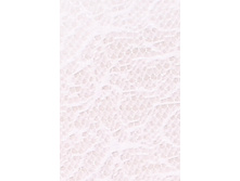 ������4552 4-3.JPG