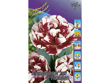 16,2���. ������� �������� �� �����(�������� ���� �� 10 ��., ����������� ����� 5��.).jpg