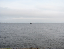 IMG 7414.JPG