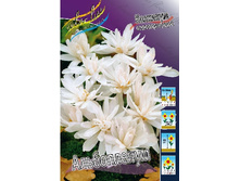 203,55���. �������� ����������� (����������.)(�������� ���� �� 2 ��., ����������� ����� 1��.).jpg