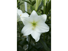 23,46���. ����� ������ �����(�������� ���� �� 7 ��., ����������� ����� 3��.)���17.jpg