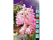 54,68���. ������� ������� 14-15 (�������� ���� �� 5 ��., ����������� ����� 1��.).jpg